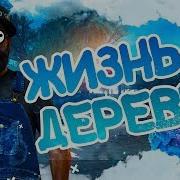 Слив Мода Жизнь В Деревне Arizona Rp Full Rp