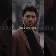 Дидамеш Бади Як Умр Чудо Дидамеш