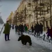 Я Куплю Себе Билет В Город Солнце Магадан