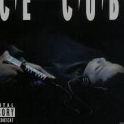 Ice Cube Ghetto Bird