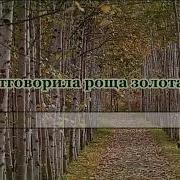 Караоке Романсы Отговорила Роща Золотая