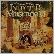 Infected Mushroom Saeed