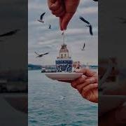 Турецкие Песни Про Стамбул