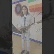 Sax Айрис