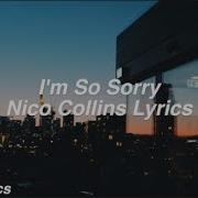 Nico Collins I M So Sorry Lyrics