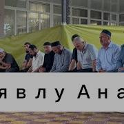 Аявлу Анам