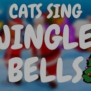 Cats Sing Jingle Bells Cats Singing Song