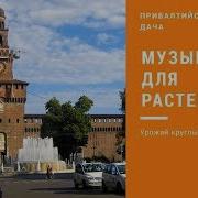 Музыка Для Роста Растений