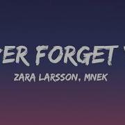 Never Forget You Lyrics Zara Larsson