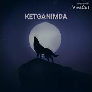 Dj Green Wolf 3 Ketganimda