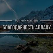 Благодарность Аллаху