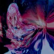 I M Shy I M So Shy Sped Up