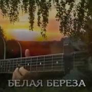 Белая Береза Дворовая Песня 70 Х