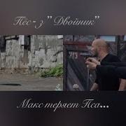 Двойник Макса Стреляет Пса