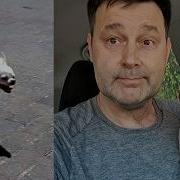 Ну И Иди Ты Мимо