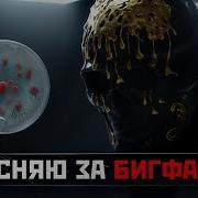 Ответ Хейтерам И Блогеру