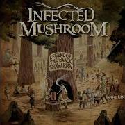 Infected Mushroom The Legend Of The Black Shawarma Full Album