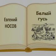 Белый Гусь Слушать