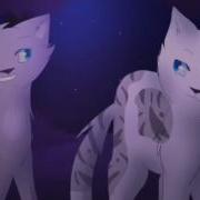 Коты Воители Искра И Голубка Dovewing And Ivypool