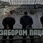 Русский Шансон За Забором Пацаны