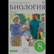 Биология 8 Класс Колесов Параграф 29