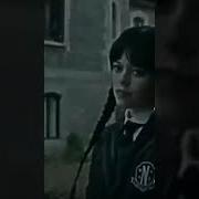 У Нас Тут С Ним Конфликт Ванька Встанька