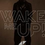 Avicii Wake Me Up Speed Avicii Remix