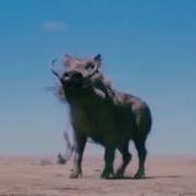 Прикол Тимон И Пумба
