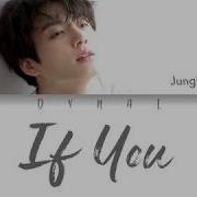 Jungkook 정국 If You Cover Bigbang Audio