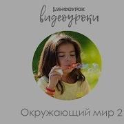 Органы Чувств Обоняние Вкус Осязание Окружающий Мир 2 Класс 9 Инфоурок