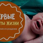 Младенцы В Роддоме