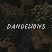 Dandelions Speed Up