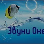 9 Часов Лучшая Лаунж Музыка Для Релакса Спокойная Эмбиент Мелодия На
