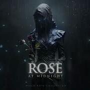 Rose At Midnight Black Rose Ver