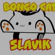 Bongo Cat Slavik Gopnik Ft Pewdiepie Hardbass Meme Russian Version