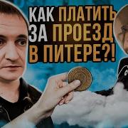 Подорожник Балтиец
