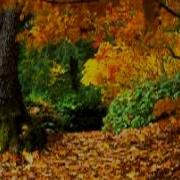 Van Galen Band Autumn Leaves