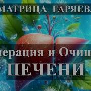 Золотой Песок Матрицы Гаряева