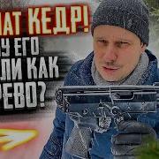 Пистолет Пулемет Пп 91 Кедр