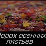Давай Потанцуем Под Шорох Осенней Листвы