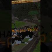 Я Смотрю В Твои Глаза Я Готов В Них Утонуть