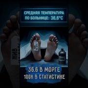 Как Звучит Правда