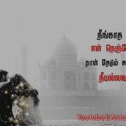 Keladi Kanmani Padagan Sangadhi Tamil Song Whatsapp Status Ilayaraja Spb