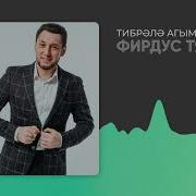 Тибрэлэ Агым Фирдус Тямаев