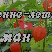 Осенне Летний Роман Бабье Лето