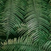 Vlog Tropical House No Copyright Sound Free Use Music Mbb Ocean