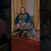 Гармонь Современные Песни