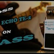 Echo Bass