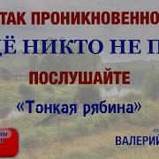 Группа Садко Тонкая Рябина
