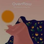 Overflow The Wildcardz